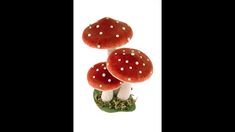 three mushrooms sitting on top of each other