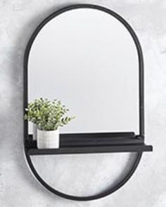 a mirror and shelf with a potted plant on it