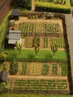 an aerial view of a vegetable garden in the middle of a yard with trees and bushes