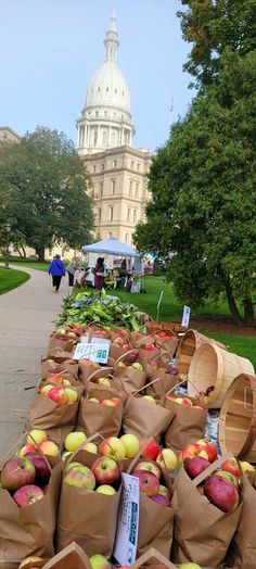 many bags of apples and bananas are on the table in front of the capitol building