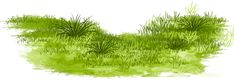 the grass is green and has some small plants growing on it's side,