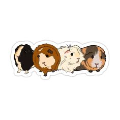 three guineas sticker on white background