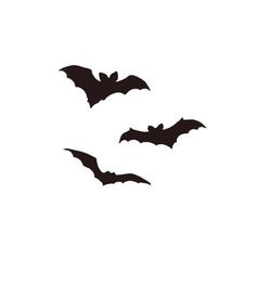 two bats flying in the sky