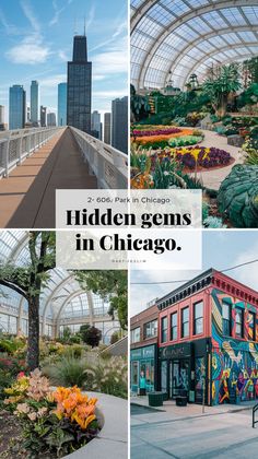 A photo collage showcasing hidden gems in Chicago, including the 606 elevated trail, Garfield Park Conservatory's lush greenery, and a vibrant street mural. Chicago Best Places, Chicago Travel Aesthetic, Aesthetic Chicago Pictures, Gold Coast Chicago, Chicago Honeymoon, Chicago Date Ideas, Museums In Chicago, Chicago Sightseeing, Hyde Park Chicago