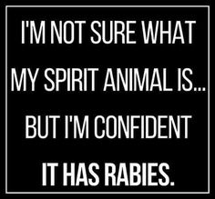 i'm not sure what my spirit animals but i'm confident it has rabies