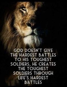 a lion with the quote god doesn't give the hardest battles to his toughest soldiers he creates