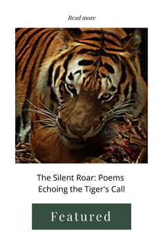 the front cover of a book with an image of a tiger