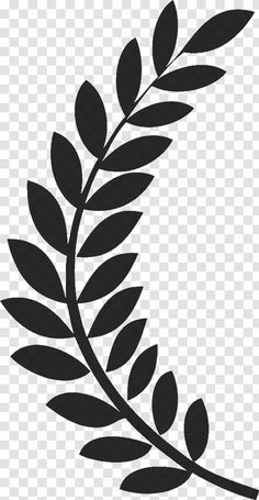 a black and white silhouette of a branch with leaves on it, against a transparent background