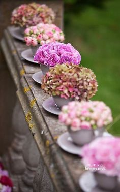 several flower pots are lined up on a ledge