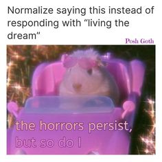 a hamster sitting in a toy car with the caption normalize saying this instead of responding with living the dream