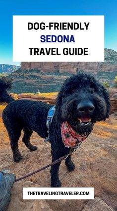 a black dog wearing a bandana and standing on top of a mountain with text overlay that reads, dog - friendly sedona travel guide