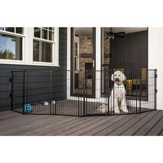 a dog is sitting on the front porch looking out from his fenced in area