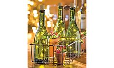 three bottles with lights in them sitting on a table next to some flowers and potted plants