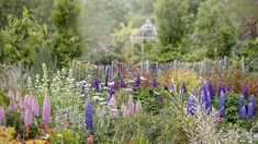 a garden filled with lots of purple and white flowers next to green trees in the background