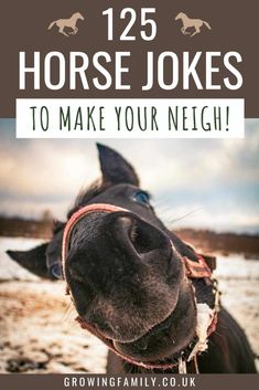 125 horse jokes and horse puns to make your neigh - Growing Family