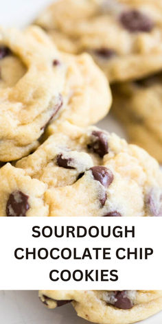 chocolate chip cookies on a stack Sourdough Chocolate Chip Cookies, Recipe Using Sourdough Starter, Easy Sourdough, Homemade Sourdough Bread, Sourdough Starter Recipe, Peanut Butter Oatmeal Cookies, Peanut Butter Oatmeal, Sour Dough