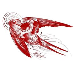 a drawing of a bird with a skull on it's back and its wings spread out