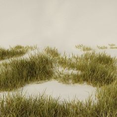 the snow is covered with green grass and plants in the foreground, against a white background