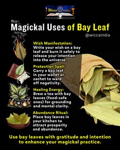 The humble bay leaf is more than a kitchen herb – it’s a powerful tool in your magickal toolkit. 🌿✨  💡 Here’s how you can work with its energy: -Write a wish or affirmation on a bay leaf, burn it safely, and visualize your desires manifesting. -Keep a bay leaf in your wallet for financial protection and prosperity. -Add bay leaves to your rituals to cleanse and enhance the energy of your space.  🔮 Magickal Tip: Bay leaves amplify the power of your intentions. Use them with focus and gratitude for the best results!  Have you tried using bay leaves in your rituals? Share your experience below! 🌟 Herbal Magic For Wiccans, Kitchen Herbs, Hedge Witch, Kitchen Witch, Green Witch, Have You Tried