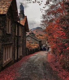 a narrow road with houses on both sides and autumn leaves covering the ground in front