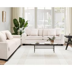 a living room filled with furniture and a plant in the middle of the room on top of a white rug