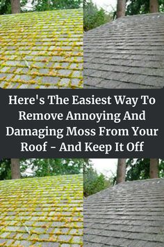 Sure Fire Way To Remove Moss From Your Roof Removing Moss From Roof, Natural Hair Removal, Diy Vintage Decor, House Sale, Grilling Tips, Parisian Life, Beach Ceremony