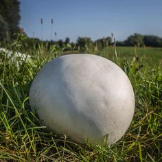 a large white ball sitting in the grass