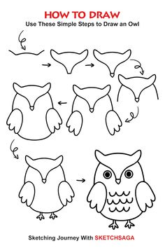 how to draw an owl with step by step instructions for children and adults in easy steps