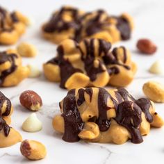 chocolate covered cookies with nuts scattered around them