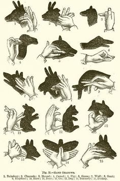 an old black and white drawing shows different hands