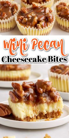 the cheesecake bites are topped with pecans and caramel toppings for a decadent dessert