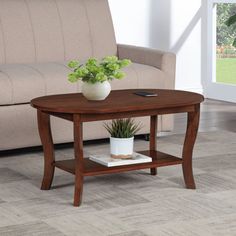 a coffee table with a potted plant on it