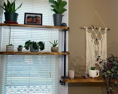 two shelves with plants and pictures on them in front of a window that has blinds