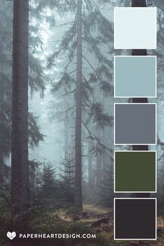 a forest with lots of trees and fog in the background, there is a color palette for