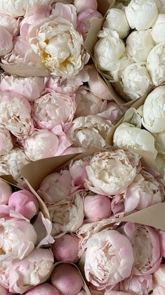 pink and white peonies are in paper bags