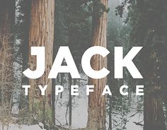 the words jack typeface are in front of some tall trees with snow on them