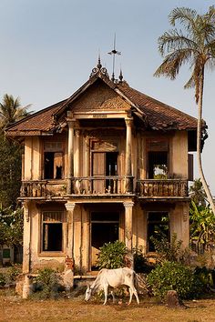 an old building with two animals in front of it and palm trees around the corner