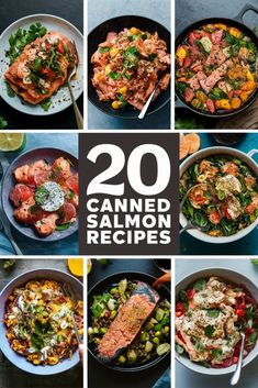 20 canned salmon recipes that are easy to make and ready in 30 minutes or less