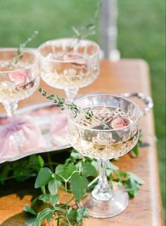 three wine glasses filled with white wine and garnished with greenery on a wooden table