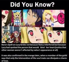 NALU CONFIRMED!!!!! It's proof IT WAS The Familiar Of Zero, Aho Girl, Anime Facts, Quotes Christmas, Fairy Tail Lucy