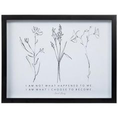 three framed flowers with the words i am not what happened to me, i am what i choose to become