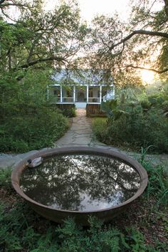 an old bathtub sitting in the middle of a garden next to a tree and walkway