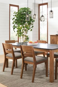 a dining room table with chairs and a potted plant