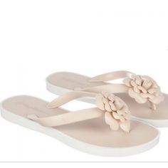 Nwt See Pix For Details Polyvinyl Thong Design Flip Flop Style Flower Accent Design At Upper Durable Rubber Outsole All Man Made Materials Some Sizes May Not Have Boxes #161 Flower Shaped Synthetic Flip Flops For Beach, Synthetic Flower Flip Flops For Beach, White Round Toe Jelly Sandals, White Plastic Jelly Sandals For Spring, Spring White Plastic Jelly Sandals, White Open Toe Jelly Sandals, White Plastic Beach Flip Flops, Beige Slippers, Wild Diva Shoes