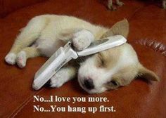 a kitten laying on its back with a remote in it's mouth and the caption says, no i love you more