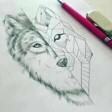 a pencil drawing of a wolf wearing a hat