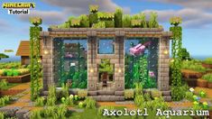 Minecraft Outdoor Aquarium, Frog Aquarium Minecraft, Cool Things To Build In Minecraft Survival, Minecraft Building Ideas Axolotl, Minecraft Zoo Aquarium, Axolotl Pen In Minecraft, Axolotl Tank Minecraft Ideas, Minecraft Pet Enclosure, Minecraft Wall Aquarium