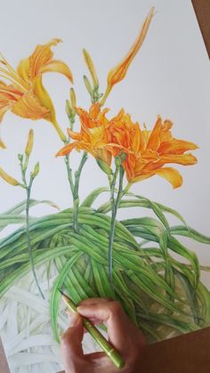 a person is drawing flowers with colored pencils