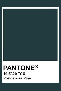 the pantone color is dark green and has a white square on it, in front of