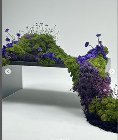 an artistic display of flowers and moss on a white background